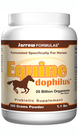 Equine-DophilusÂ is a powdered probiotic supplement formulated for horses to support intestinal health and help strengthen overall immune function..