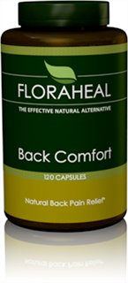 Back Comfort contains Arnica Montana, which is the most commonly used homeopathic medicine for relief of muscular pain..