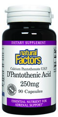 In our bodies, pantothenic acid is converted to coenzyme A, necessary for the synthesis of cholesterol, bile and steroids. Coenzyme A in the body can detoxify harmful substances found in herbicides, insecticides, and drugs..