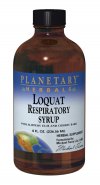 Traditional Chinese herbalists have used the leaves of the loquat tree to support respiratory health since at least 500 A.D. Planetary Herbals Loquat Respiratory Syrup combines loquat leaves with other key botanicals including the inner barks of slippery elm and wild cherry, two botanicals long used by traditional western herbalists for supporting respiratory health..