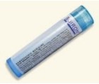 Boiron's Arnica Montana 9C is a natural anti-inlfammatory that works to provide relief from pain following injury or surgery..