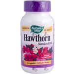 Hawthorn Standardized (90 caps) Nature's Way