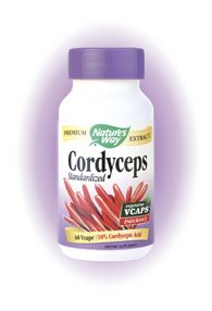 Cordyceps Standardized (60 caps)* Nature's Way