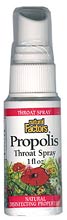 Natural Factors Bee Propolis Throat Spray is a special blend that contains Echinacea purpurea and other herbs to soothe a scratchy raw throat..