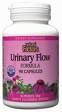 Natural Factors Urinary Flow Herbal Formula blends together helpful herbs that work in the urinary tract to flush out toxins and support kidney and bladder function..